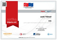 CSS Sertifikası