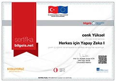 Yapay Zeka Sertifikası